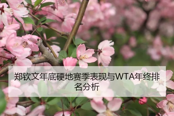 郑钦文年底硬地赛季表现与WTA年终排名分析
